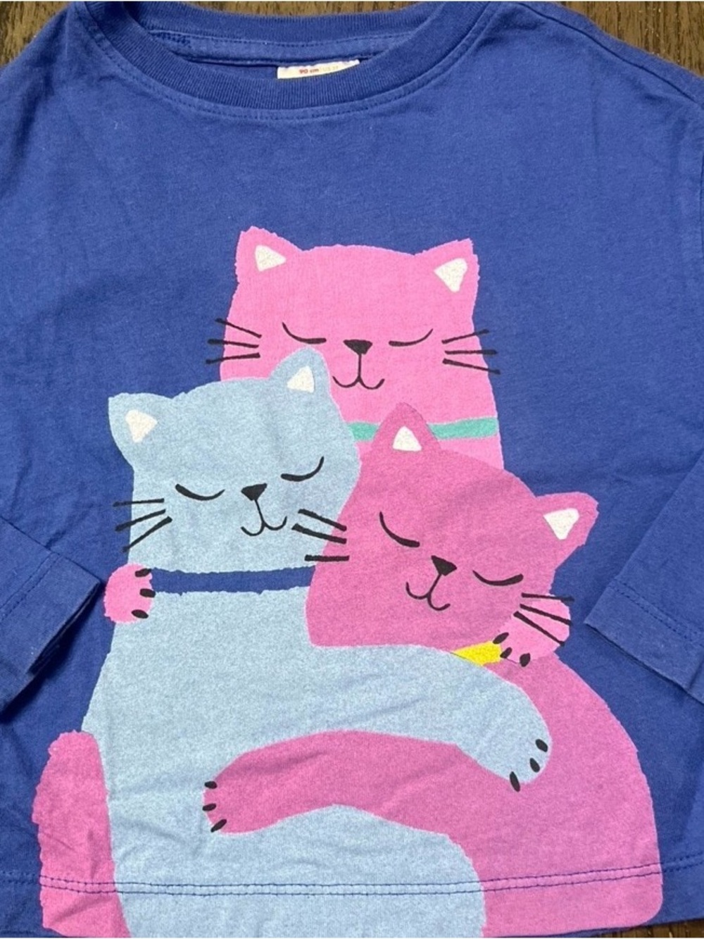 Hanna Andersson Blue Long Sleeve Tee with Pink & Light Blue Cat Trio